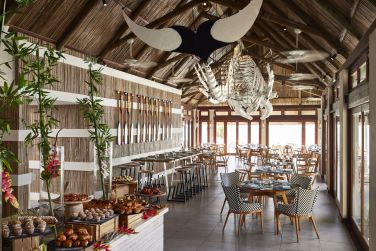 photo C Mauritius Palmar Ile Maurice