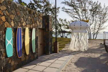 photo C Mauritius Palmar Ile Maurice