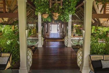 photo C Mauritius Palmar Ile Maurice