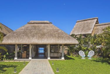 photo C Mauritius Palmar Ile Maurice