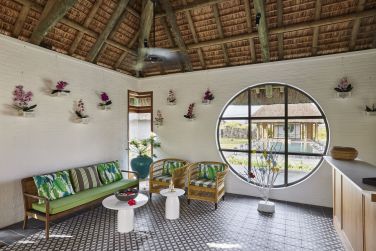 photo C Mauritius Palmar Ile Maurice