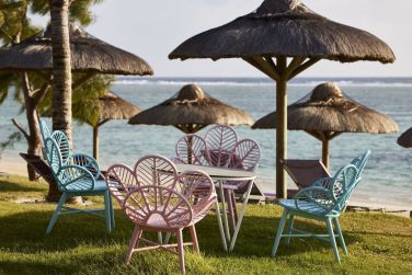 photo C Mauritius Palmar Ile Maurice