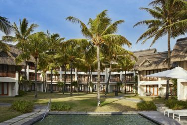 photo C Mauritius Palmar Ile Maurice