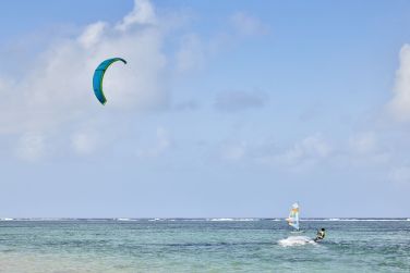 photo C Mauritius Palmar Ile Maurice