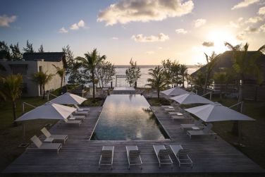 photo C Mauritius Palmar Ile Maurice