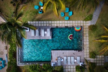 photo C Mauritius Palmar Ile Maurice