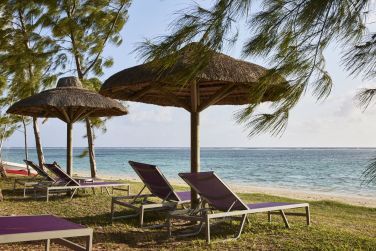 photo C Mauritius Palmar Ile Maurice