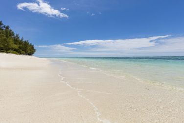 photo C Mauritius Palmar Ile Maurice