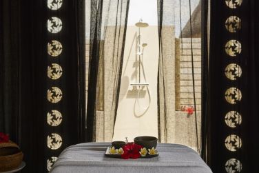 photo C Mauritius Palmar Ile Maurice