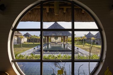 photo C Mauritius Palmar Ile Maurice