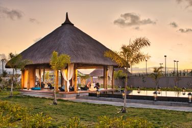 photo C Mauritius Palmar Ile Maurice