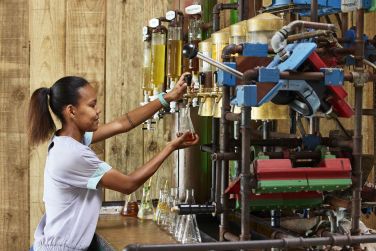 photo C Mauritius Palmar Ile Maurice