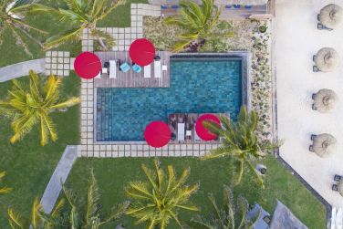 photo C Mauritius Palmar Ile Maurice