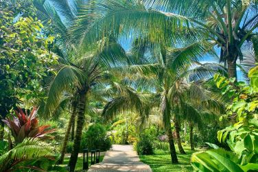 photo Zuri Zanzibar Hotel & Resort Zanzibar