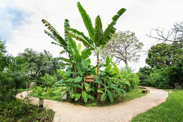 Zanzibar ne doit pas son surnom d'le aux pices au hasard !