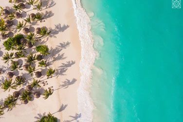 La plage de l'htel borde de palmiers