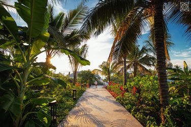 L'un des atouts majeurs de Zanzibar est sa nature gnreuse et exubrante