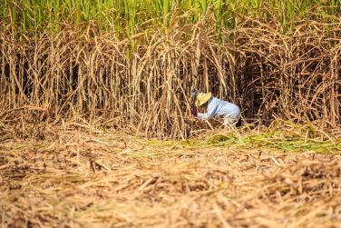 photo SALT of Palmar, an adult-only Boutique Htel Ile Maurice
