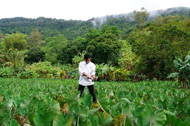 La ferme SALT propose une cuisine healthy