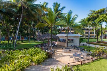 Dgustez de succulents cocktails sur la plage