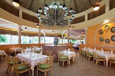 Dcouvrez de nombreuses saveurs