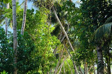 photo LUX* North Mal Atoll Resort & Villas Maldives