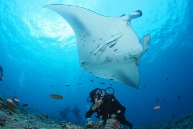 photo You & Me Maldives Maldives