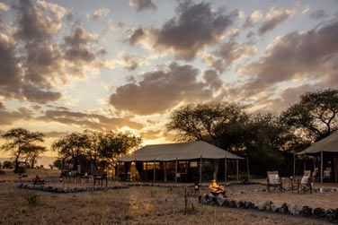Les lodges s'tendent du lac Manyara au foisonnant parc national de Tarangire