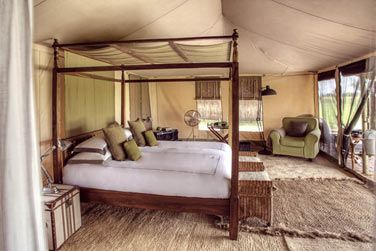 La tente Luxury du Little Chem Chem