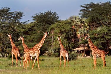 Vritable berceau de l'humanit, dote de paysages majestueux