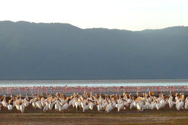 Paysages, animaux, flore, tout est runi pour vous dpayser totalement...