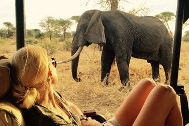 Un safari de luxe en Tanzanie combine la dcouverte des plus beaux sites du pays, des nuits en hbergement de luxe et les services d'un guide priv aux petits soins...