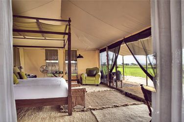 Des tentes spacieuses et luxueuses