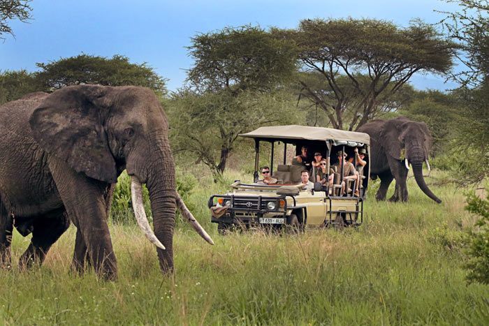 photo safari de luxe en tanzanie