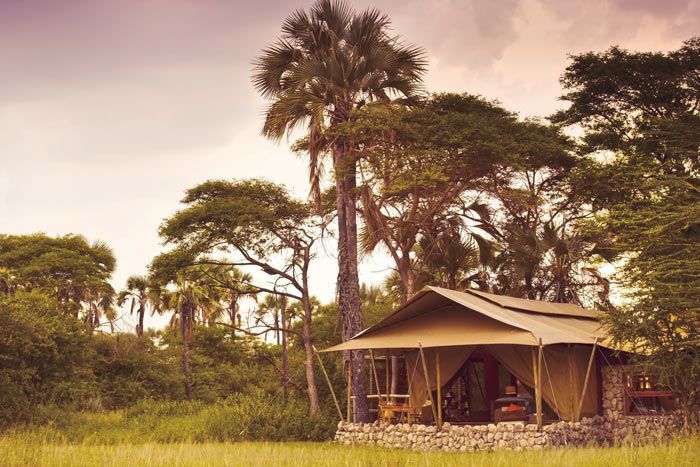 photo safari de luxe en tanzanie