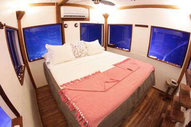 Profitez des paysages de rve, entre eau turquoise et faune marine blouissante