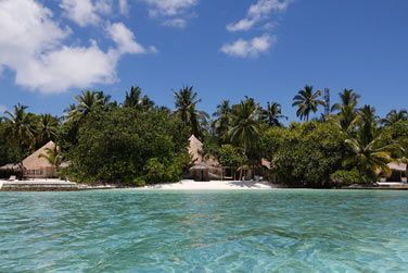 Noy dans sa jungle de palmiers tropicaux, voici la deluxe family beach villa