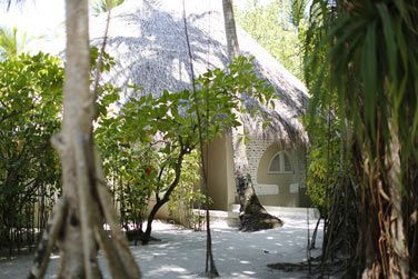 Extrieur du Bungalow incroyable nich dans sa jungle de palmiers