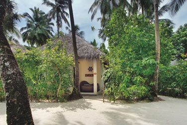 Magnifique garden room noy dans sa jungle de palmiers tropicaux