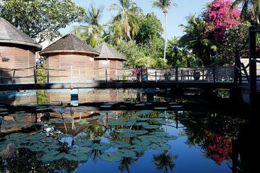 Vue extrieur du spa traditionnel faon lots