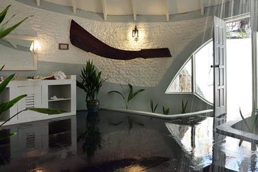 Salle de bain naturelle aux plantes