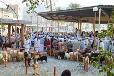 Vivez une vritable exprience pendant le march aux bestiaux  Nizwa les vendredis