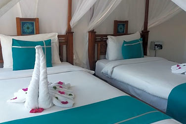 La chambre Deluxe (Lit Twin)