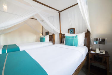 La chambre Deluxe (Lit Twin)