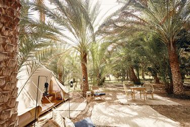 Le campement respectueux de l'environnement