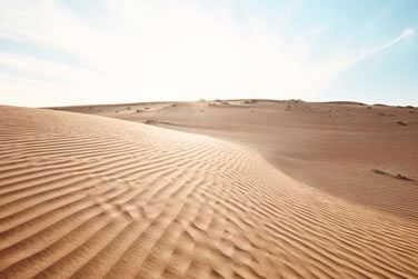 Dans un cadre unique, vivez une exprience hors du commun