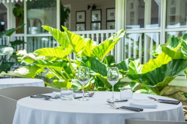 photo Plein Soleil Martinique