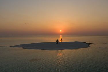 Prenez vous pour les rois du monde sur l'le robinson cruso