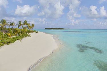 Plage paradisiaque aux eaux turquoise borde de palmiers tropicaux