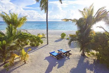 Noys sous les palmiers ces transats sont un vritable gage d'intimit et de dpaysement